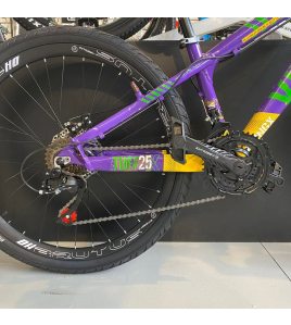 Bicicleta Aro 26 Vikingx Tuff X-25 Grau Freeride Roxa