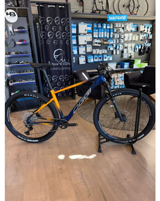 Bicicleta OGGI TAM: l nova Bicicleta OGGI TAM: l nova