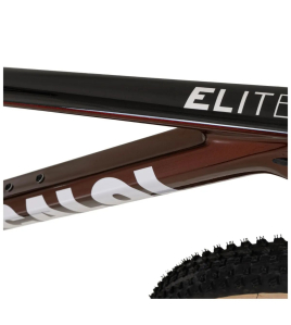 Bicicleta Caloi Elite Carbon HT Sport 2026 Shimano Deore 12v - Bordo