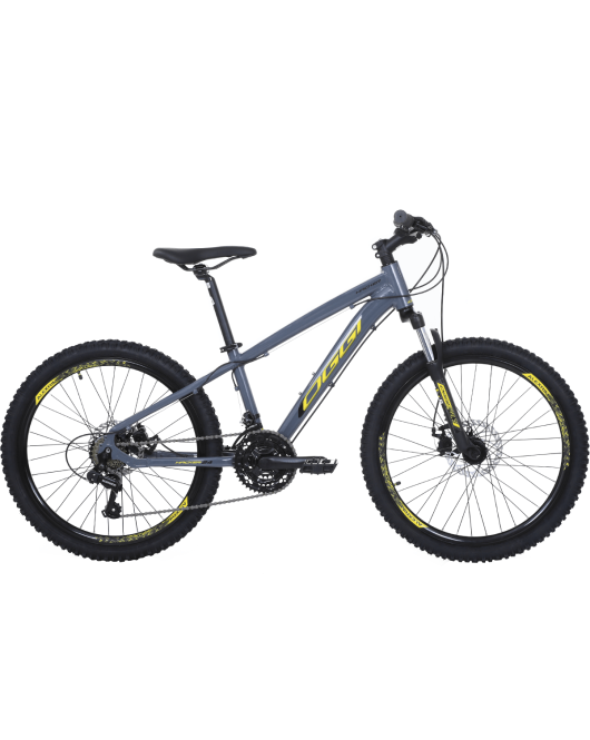 Bicicleta Oggi Hacker 24 