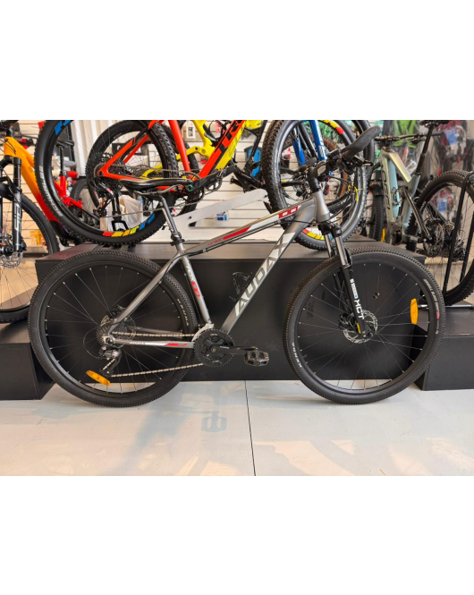  Bicicleta Audax ADX 100 Tamanho L/19" - Seminova