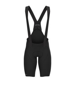 Bretelle Mauro Ribeiro System Damping Evolution Bretelle Mauro Ribeiro System Damping Evolution