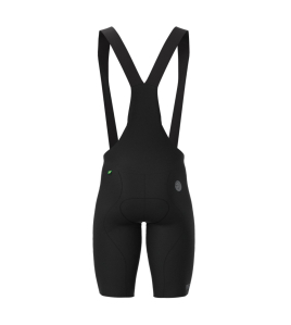 Bretelle Mauro Ribeiro System Damping Evolution Bretelle Mauro Ribeiro System Damping Evolution